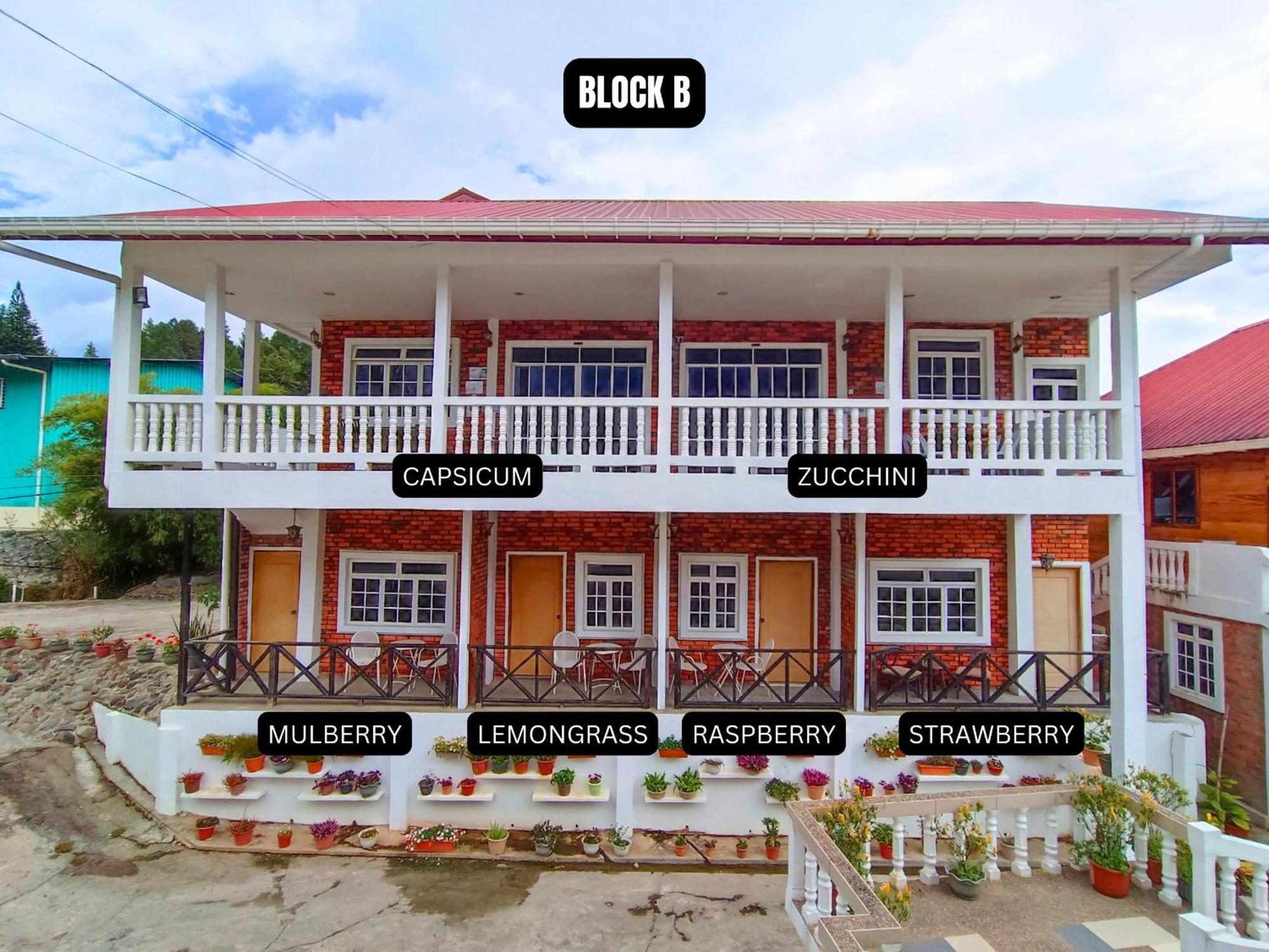 Kundasang Guesthouse Exterior foto